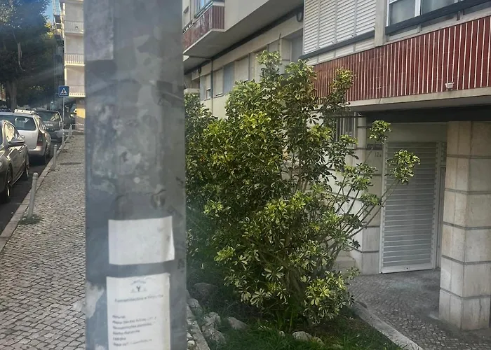 Lovely 3-bedroom W/ Free Parking On Premises Appartement